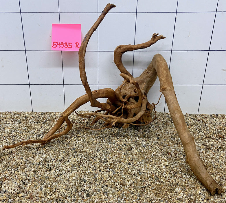 54935R Fingerwood / Rote Moorwurzel Holz