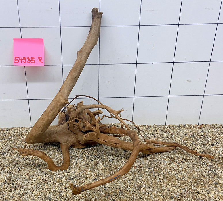 54935R Fingerwood / Rote Moorwurzel Holz