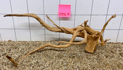 54936R Fingerwood / Rote Moorwurzel Holz