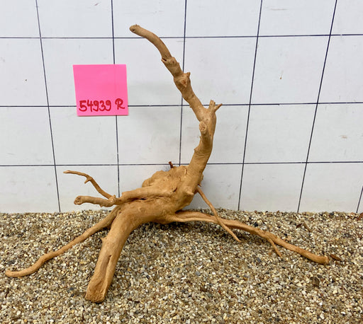 54939R Fingerwood / Rote Moorwurzel Holz