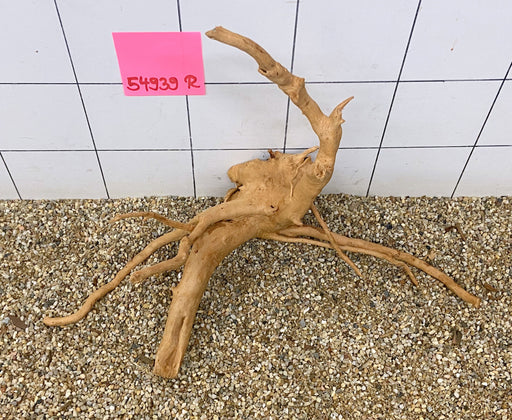 54939R Fingerwood / Rote Moorwurzel Holz