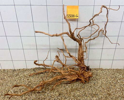 55000CU - Curlwood Wurzel Holz