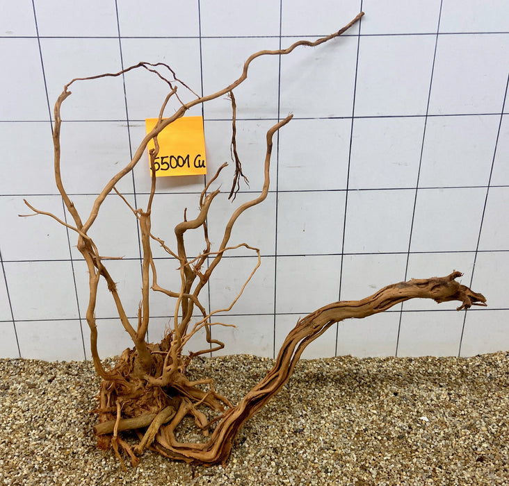 55001CU - Curlwood Wurzel Holz