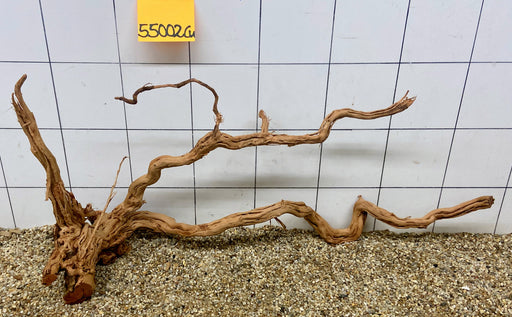 55002CU - Curlwood Wurzel Holz