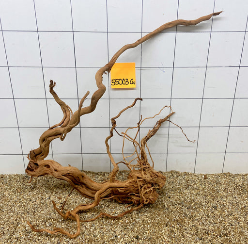 55003CU - Curlwood Wurzel Holz