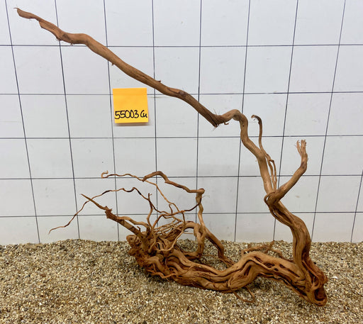 55003CU - Curlwood Wurzel Holz