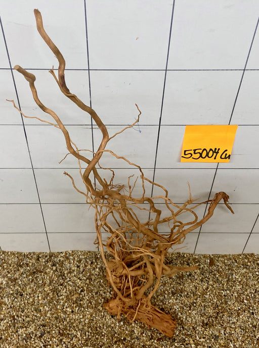 55004CU - Curlwood Wurzel Holz