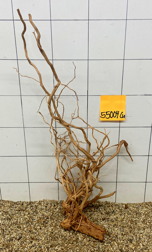 55004CU - Curlwood Wurzel Holz