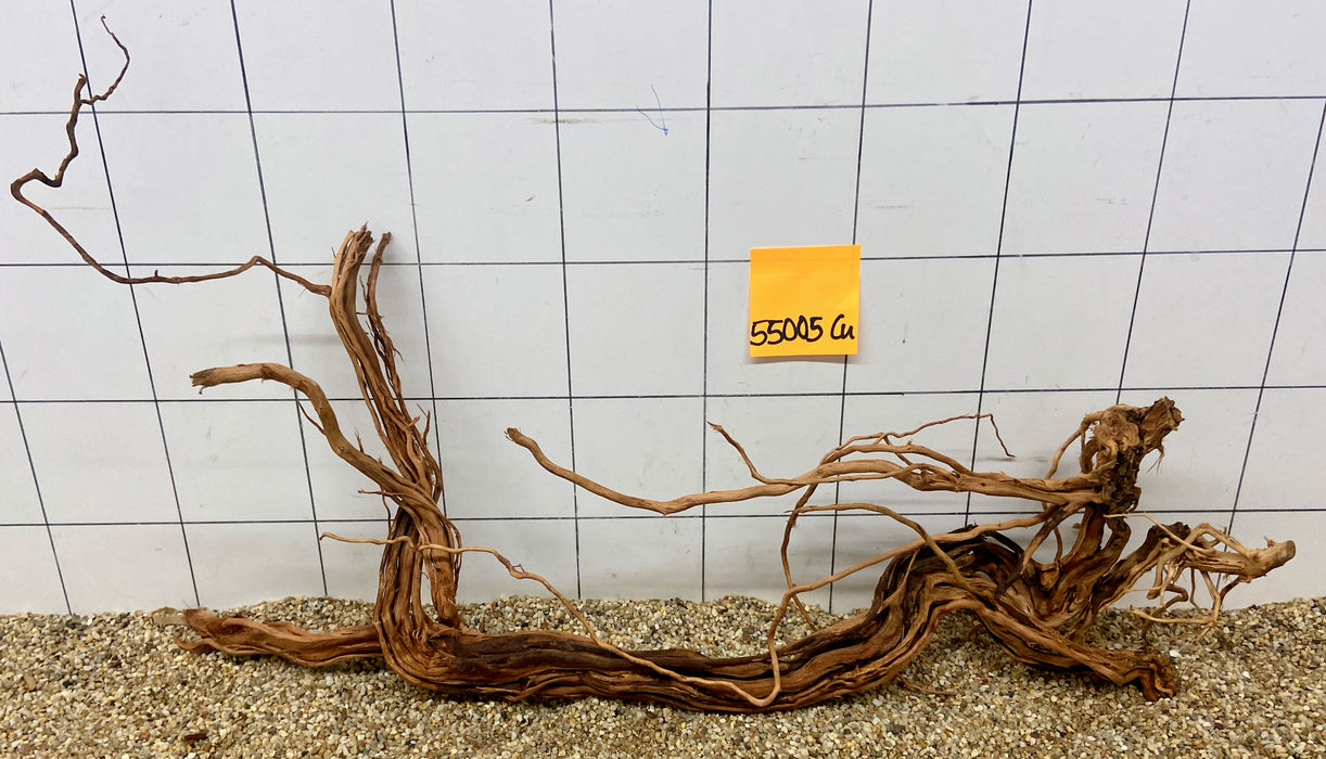 55005CU - Curlwood Wurzel Holz