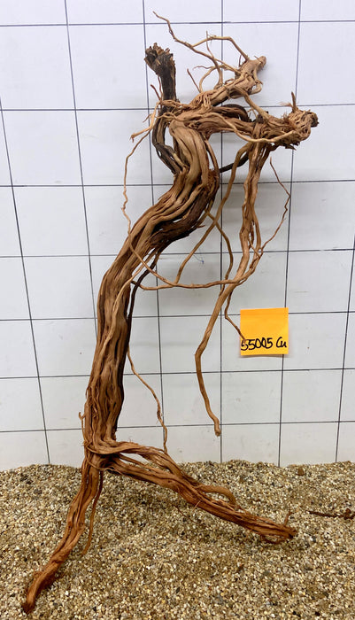 55005CU - Curlwood Wurzel Holz