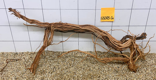 55005CU - Curlwood Wurzel Holz
