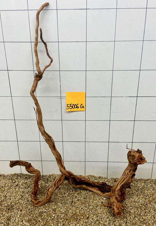 55006CU - Curlwood Wurzel Holz