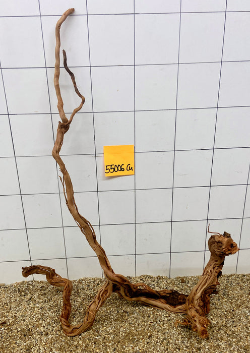 55006CU - Curlwood Wurzel Holz