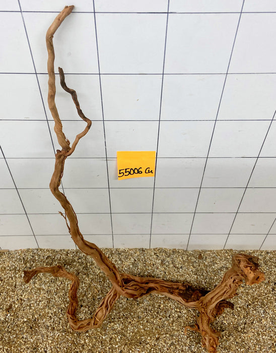55006CU - Curlwood Wurzel Holz