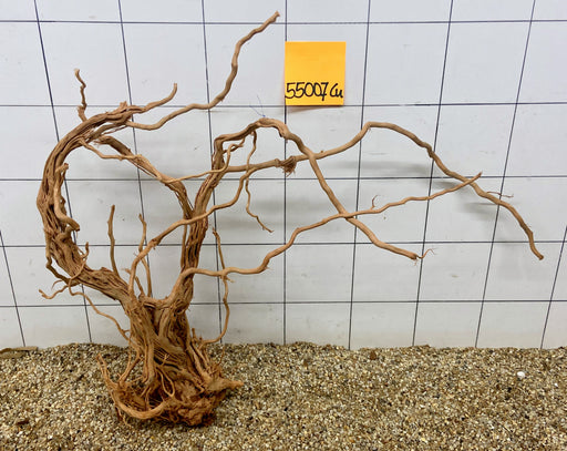 55007CU - Curlwood Wurzel Holz