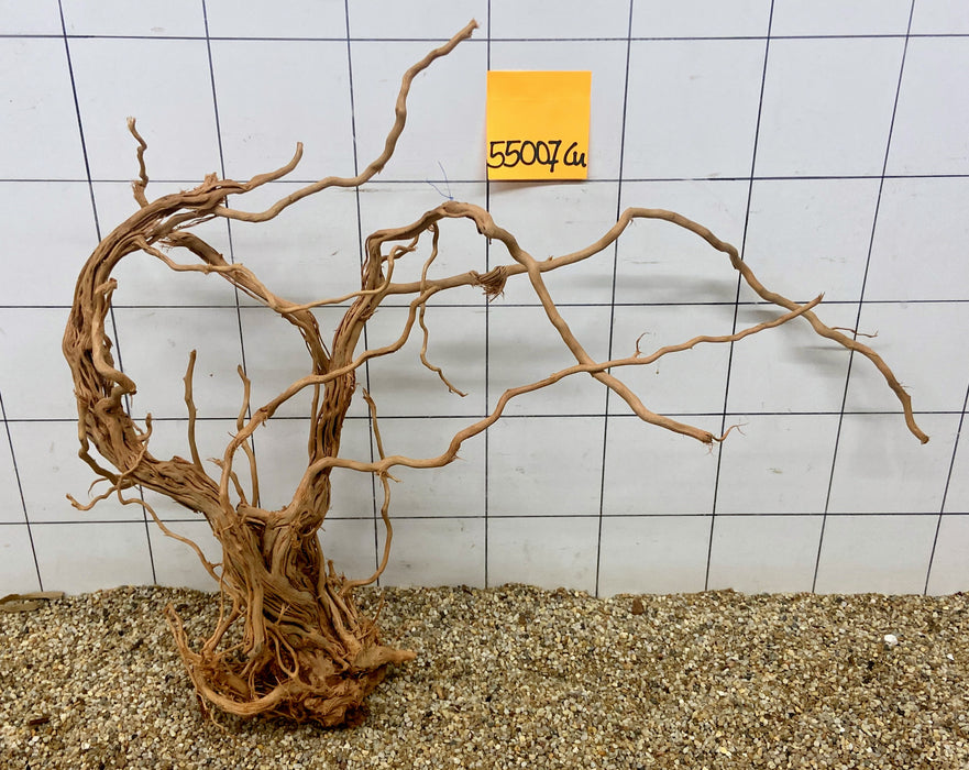 55007CU - Curlwood Wurzel Holz