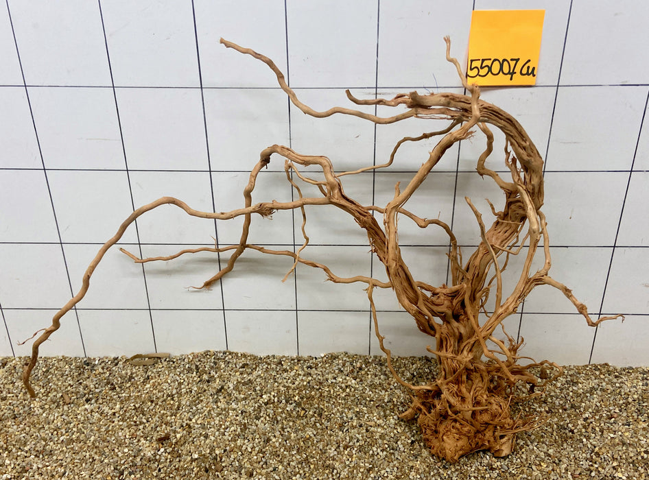 55007CU - Curlwood Wurzel Holz