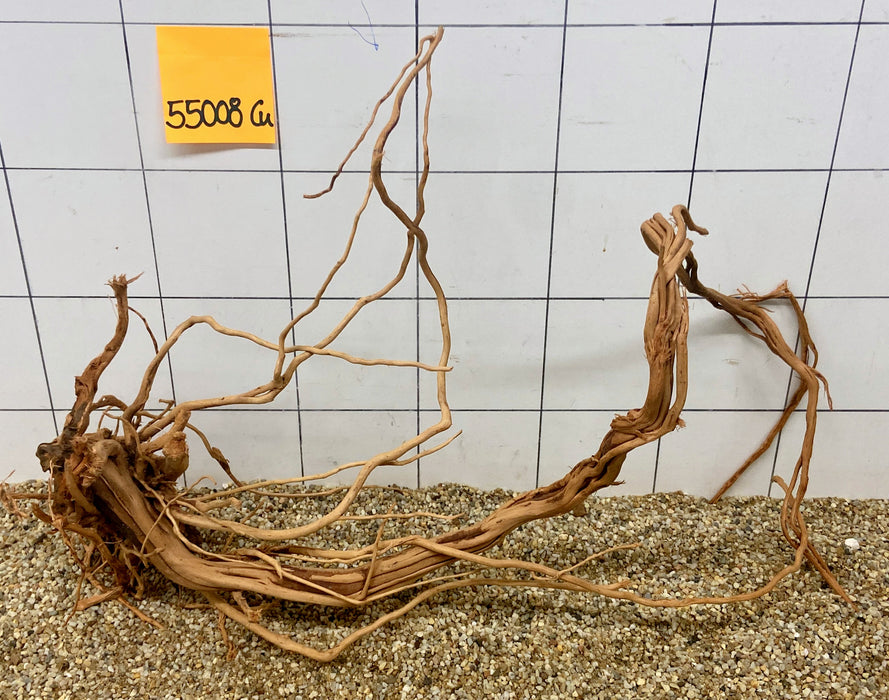 55008CU - Curlwood Wurzel Holz