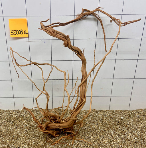 55008CU - Curlwood Wurzel Holz