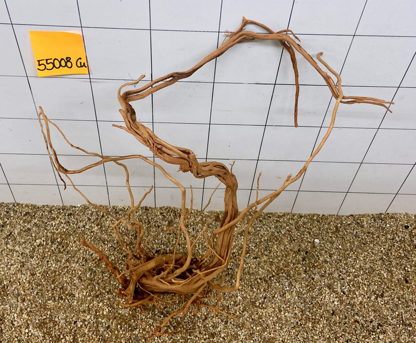 55008CU - Curlwood Wurzel Holz