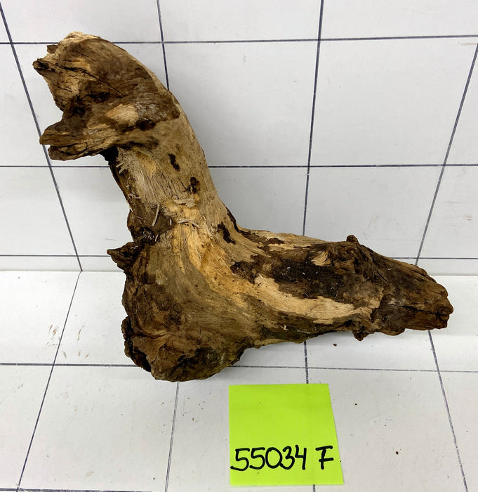 55034F Flussholz / Driftwood / Flusswurzel