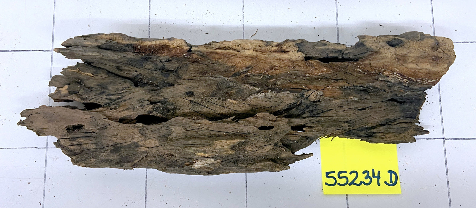 55234D - Drachenholz / Dragonwood