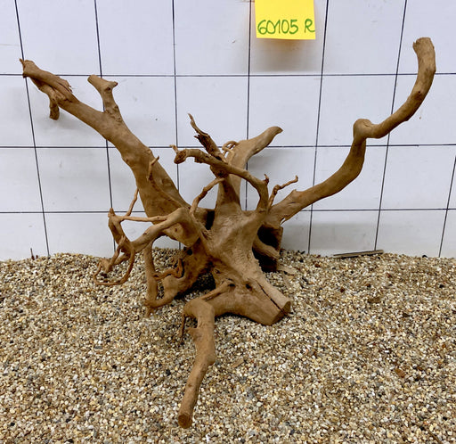 60105R Fingerwood / Rote Moorwurzel Holz