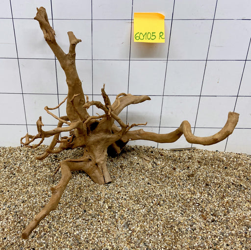 60105R Fingerwood / Rote Moorwurzel Holz