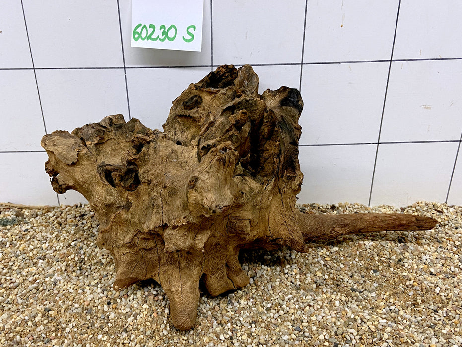 60230S Samoa Wurzel Holz