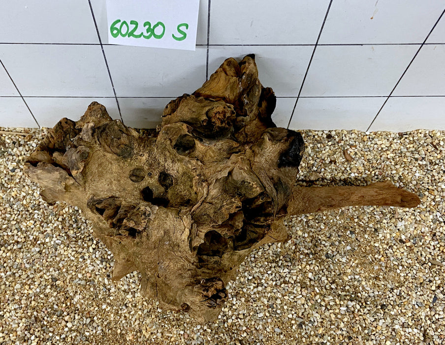 60230S Samoa Wurzel Holz