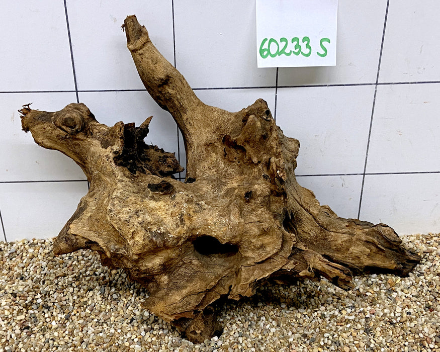 60233S Samoa Wurzel Holz