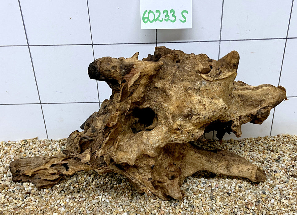 60233S Samoa Wurzel Holz