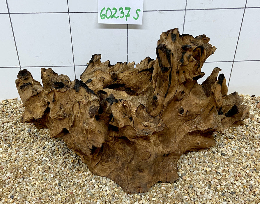 60237S Samoa Wurzel Holz