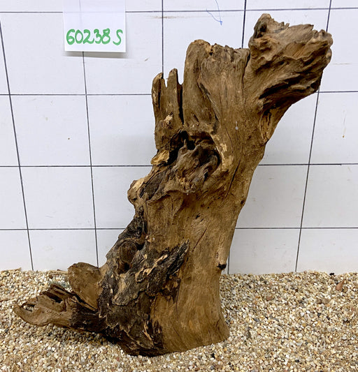 60238S Samoa Wurzel Holz