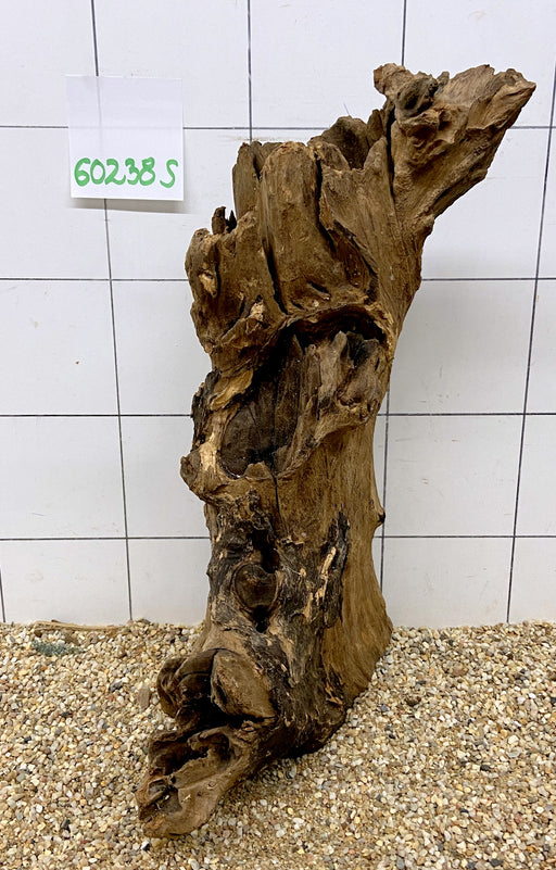 60238S Samoa Wurzel Holz