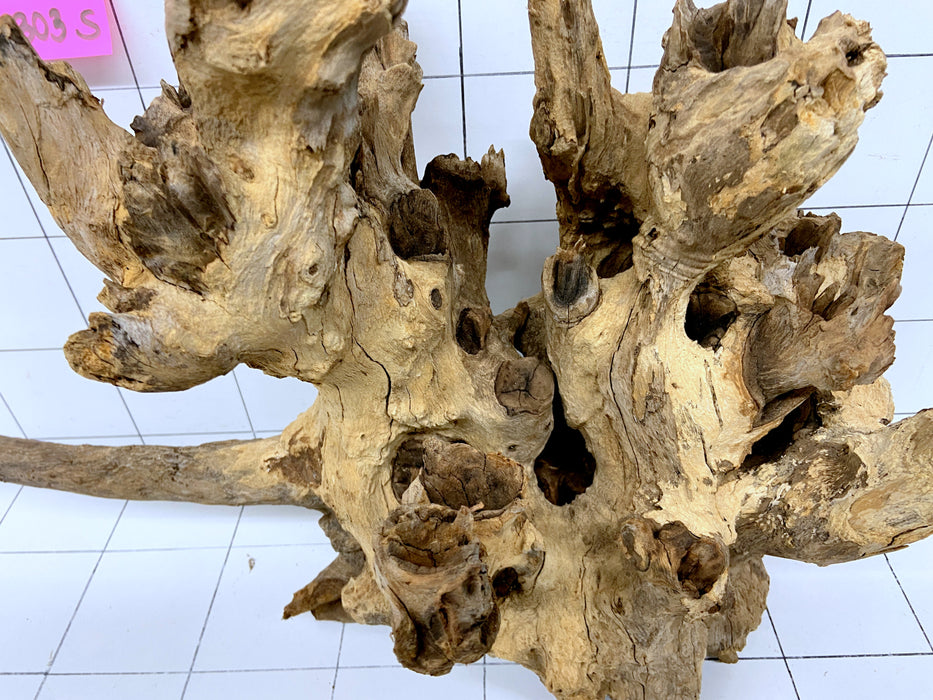 60303S Samoa Wurzel Holz XL