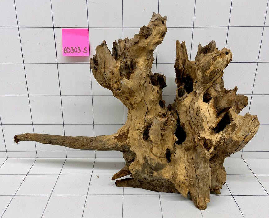 60303S Samoa Wurzel Holz XL