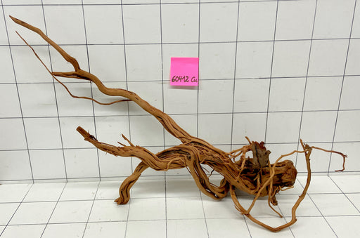 60412Cu - Curlwood Wurzel Holz