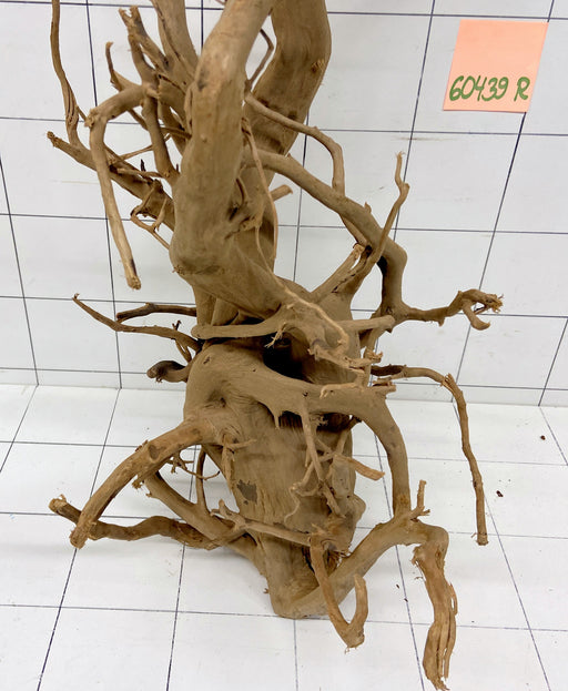 60439R Fingerwood / Rote Moorwurzel Holz XL