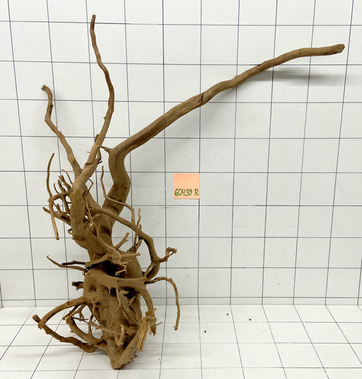 60439R Fingerwood / Rote Moorwurzel Holz XL