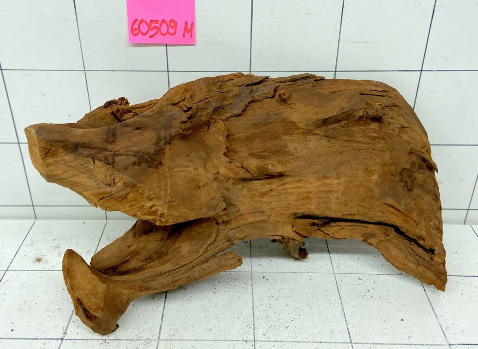 60509M - Mangrovenwurzel Holz