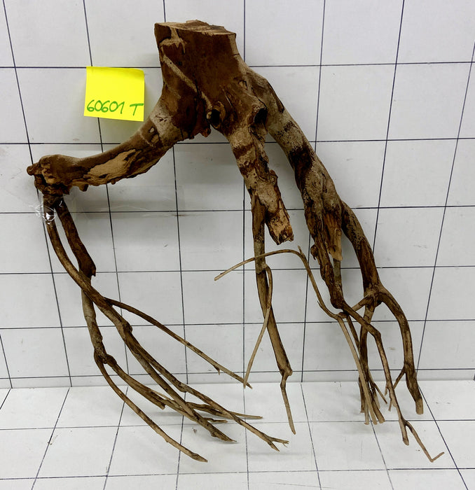 60601T Talawa Wurzel Holz