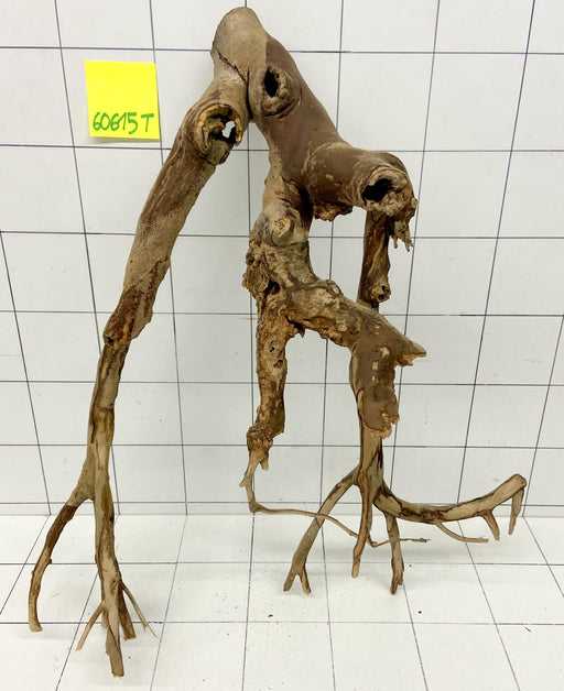 60615T Talawa Wurzel Holz