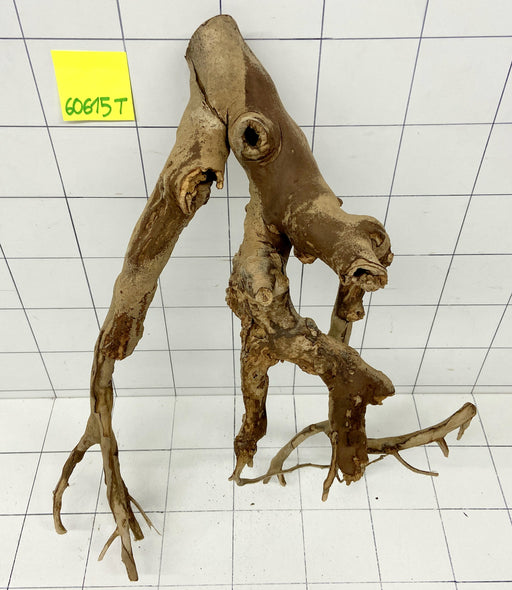 60615T Talawa Wurzel Holz