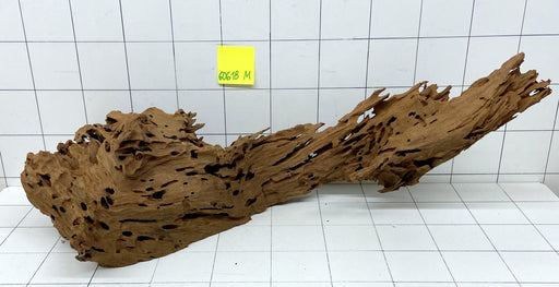 60618M - Mangrovenwurzel Holz XL