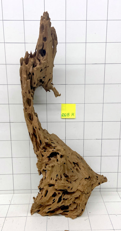 60618M - Mangrovenwurzel Holz XL