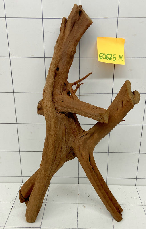 60625M - Mangrovenwurzel Holz