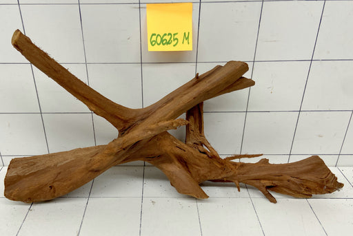 60625M - Mangrovenwurzel Holz
