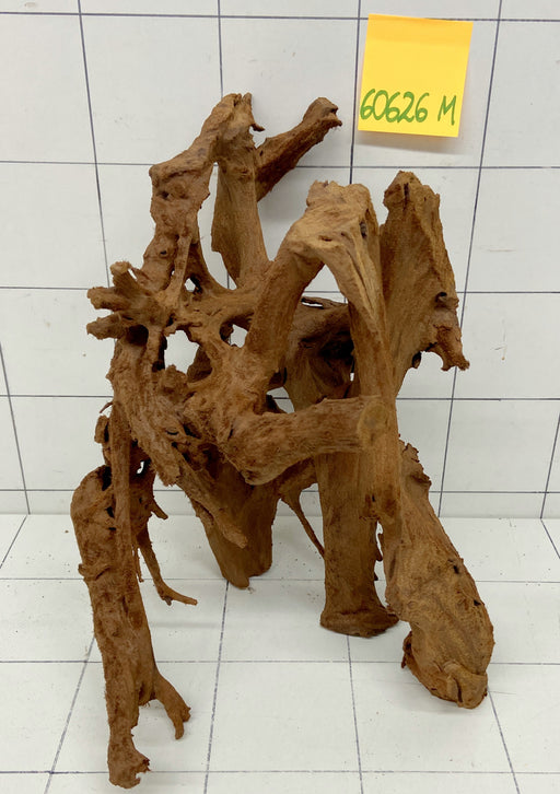 60626M - Mangrovenwurzel Holz