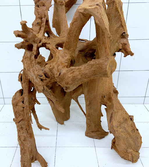 60626M - Mangrovenwurzel Holz